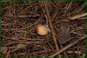 0_ec26d_cb060f70_orig.jpg