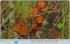 0_e6b92_2097061_orig.png
