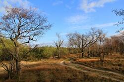 0_134f36_44a611cd_orig.jpg