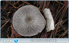 0_f2776_e2af1383_orig.png