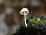 0_7982b_7e99d196_S.jpg