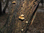 0_79837_ba1e57ea_S.jpg