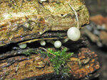 0_79f2b_5acc2a81_S.jpg
