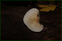 0_d9dff_b890c87_orig.png