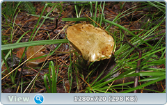 0_10dd4a_369e0dfd_orig.png