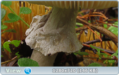 0_10dd68_270b6da2_orig.png