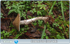 0_10dd6c_5de111ab_orig.png
