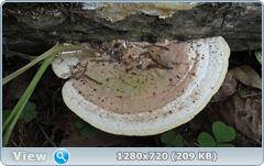 0_ef3a2_50a2dae4_orig.png