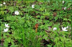 0_141c31_b385f75c_orig.jpg