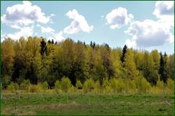 0_141c3b_cee24811_orig.jpg