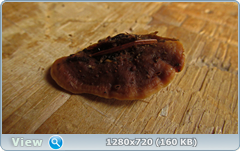 0_1158f5_282f4a81_orig.png