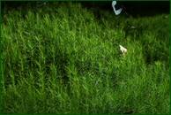 0_eb390_9d16e10a_orig.jpg