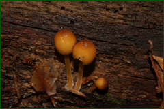 0_e3f20_9c79e7f6_orig.png