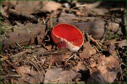 0_11f074_227a2261_orig.jpg