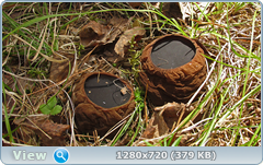 0_104cb5_c4c71a7f_orig.png