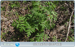 0_10616a_c4bd7f38_orig.png