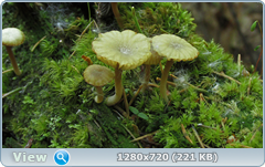0_1068f0_269efc14_orig.png