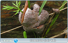 0_109329_33b8a07_orig.png
