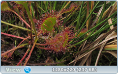 0_10a365_95422fa9_orig.png