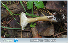 0_10b0e9_d709237e_orig.png
