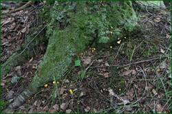 0_12451c_9146a274_orig.jpg