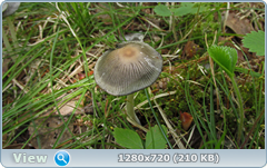 0_10655c_371c605_orig.png