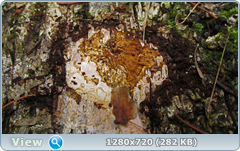 0_115044_1f861466_orig.png