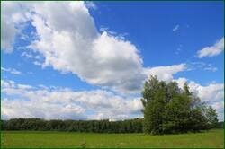 0_124508_5cbfcd59_orig.jpg