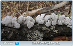 0_102955_64a561c4_orig.png
