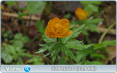 0_10593f_3b0a38ec_orig.png