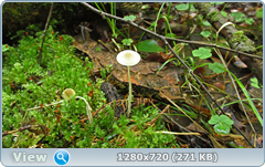 0_109703_fbc7469_orig.png