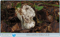 0_10b526_4a58c410_orig.png
