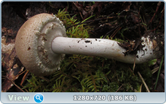 0_1105b1_86d33e42_orig.png