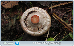0_1105b3_e6138494_orig.png