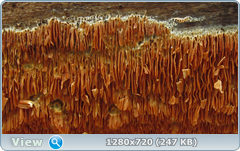 0_102086_a32f6d91_orig.png