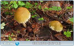 0_109696_e5031151_orig.png