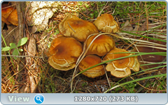 0_e6b89_c4b96f3_orig.png