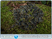 0_d4bb2_3638cf7c_orig.png