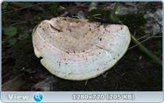0_ef3a0_d915d928_orig.png