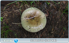 0_10d3f6_238554d3_orig.png