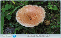 0_ef37e_b1b05df2_orig.png