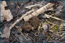 0_cc605_e1db8a63_orig.jpg