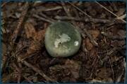 0_d256d_6581081d_orig.jpg