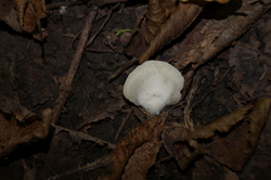 0_d897b_32993c86_orig.png