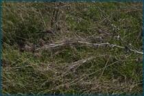 0_cc934_aaf6f935_orig.jpg
