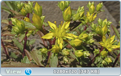 0_e7454_c9c31aff_orig.png