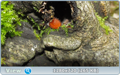 0_e9b17_b1ce01f_orig.png