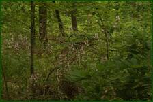 0_fc66d_7b86c570_orig.jpg