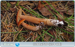 0_fba58_54647ba2_orig.png