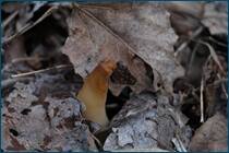 0_cc96c_d3121000_orig.jpg